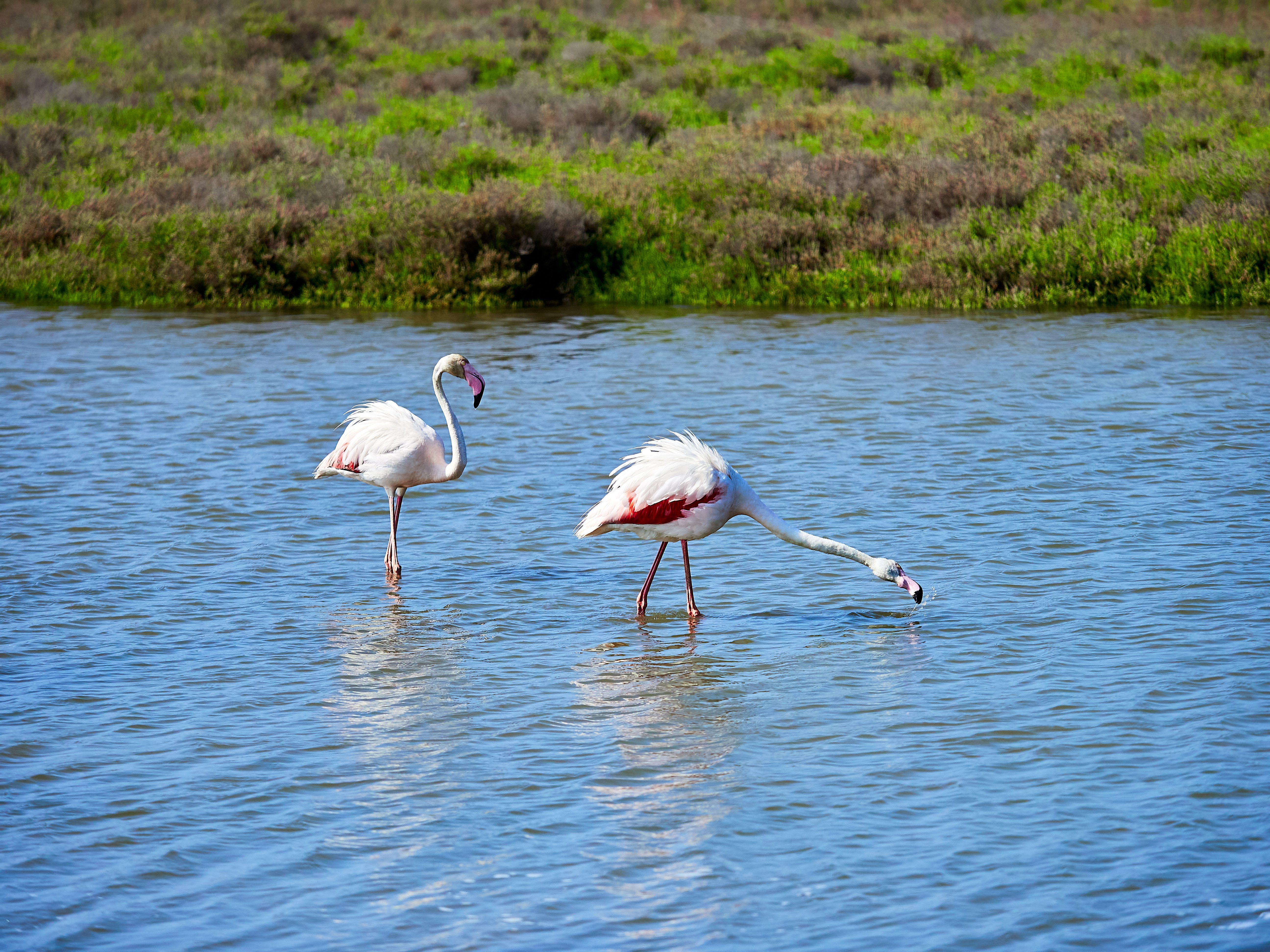Parc Natural del Delta de l’Ebre